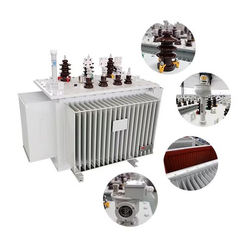 20/24 kV Oil-Immersed Distribution Transformer